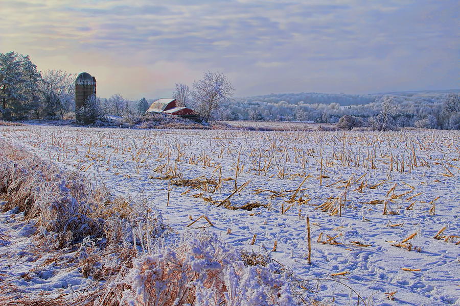 Rime Ice Surrounding An Abandoned Farm Photograph by Dale Kauzlaric