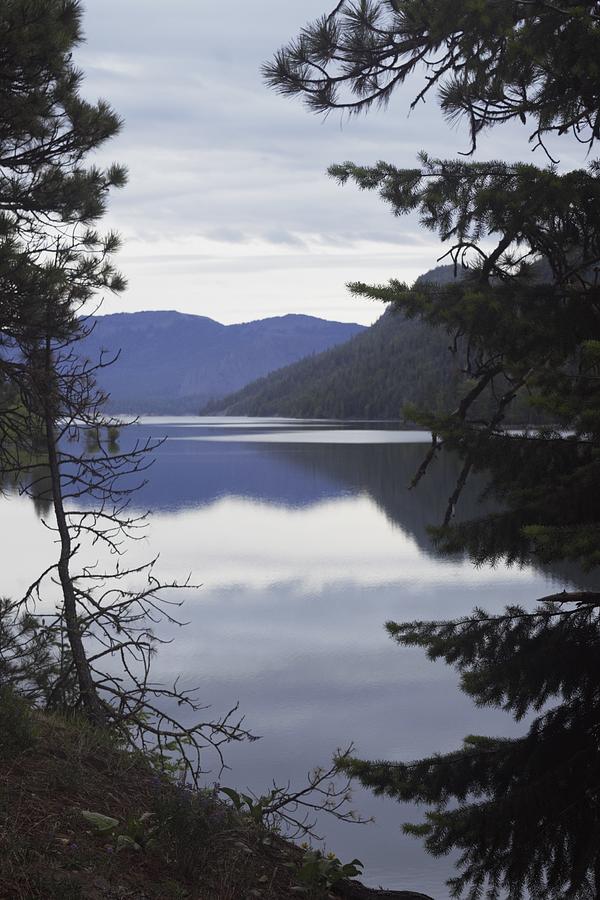 Rimrock Lake Reflection, Washington State Photograph By Lkb Art And 