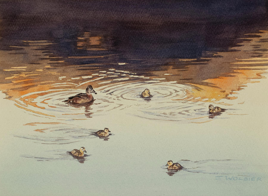 Ring-necked Ducks Mixed Media by Joan Wolbier