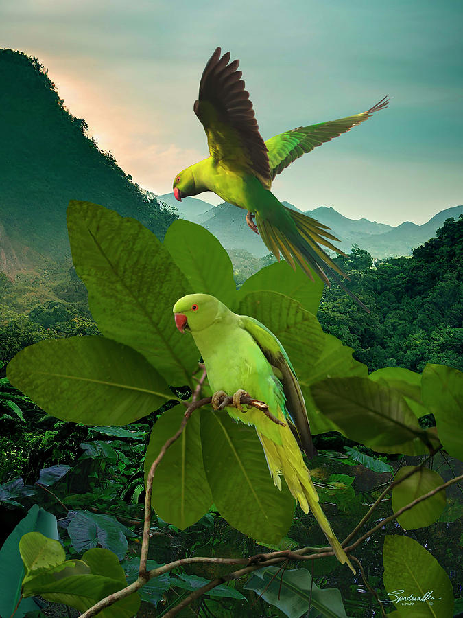 Bird Digital Art - Ring-necked Parakeets in the Wild by Spadecaller