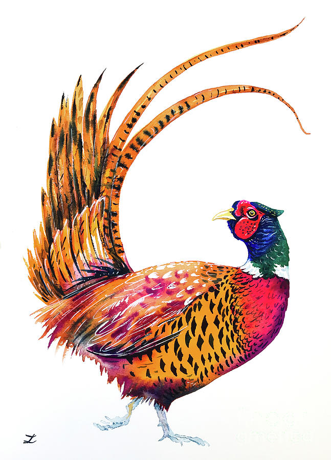 Ring-necked Pheasant Painting by Zaira Dzhaubaeva