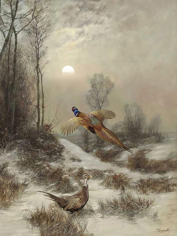 Ring-necked Pheasants at Sunset Digital Art by Spadecaller