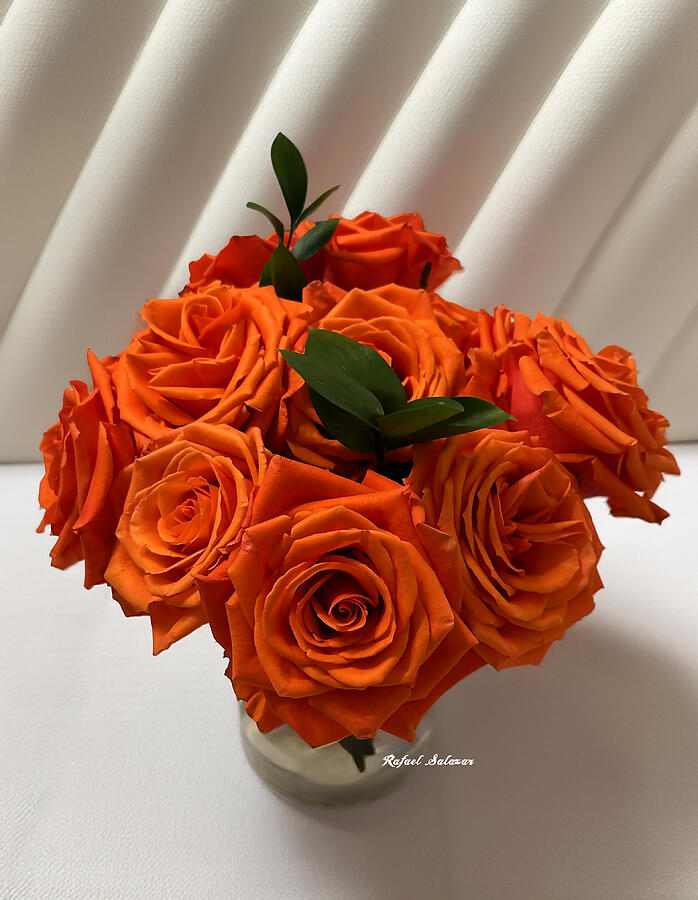 Ring of Fire Bloom Photograph by Rafael Salazar Ring of Fire Bloom Photograph by Rafael Salazar