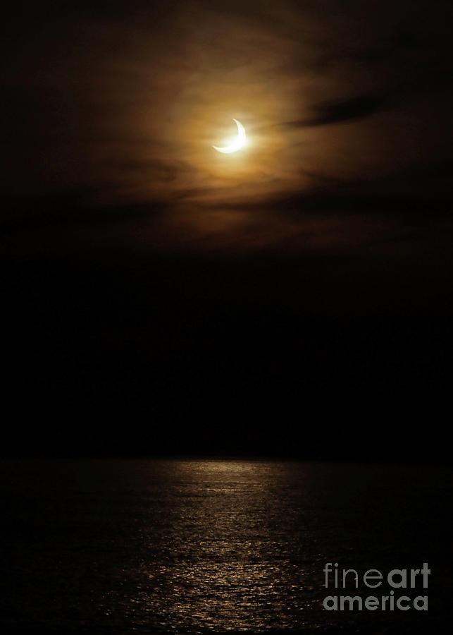 Ring of Fire Partial Solar Eclipse Photograph by Paula Guttilla
