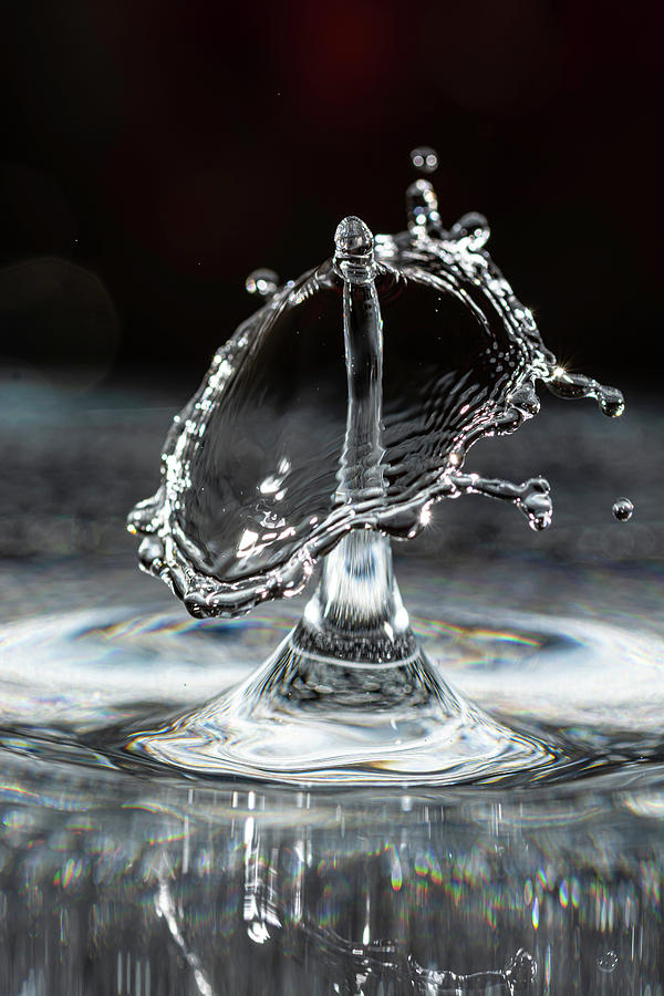 Ring Of Water Photograph By Steve Purnell - Fine Art America