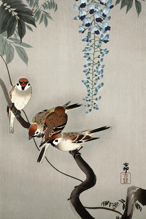 Ohara Koson Painting - Ring sparrows at wisteria by Ohara Koson