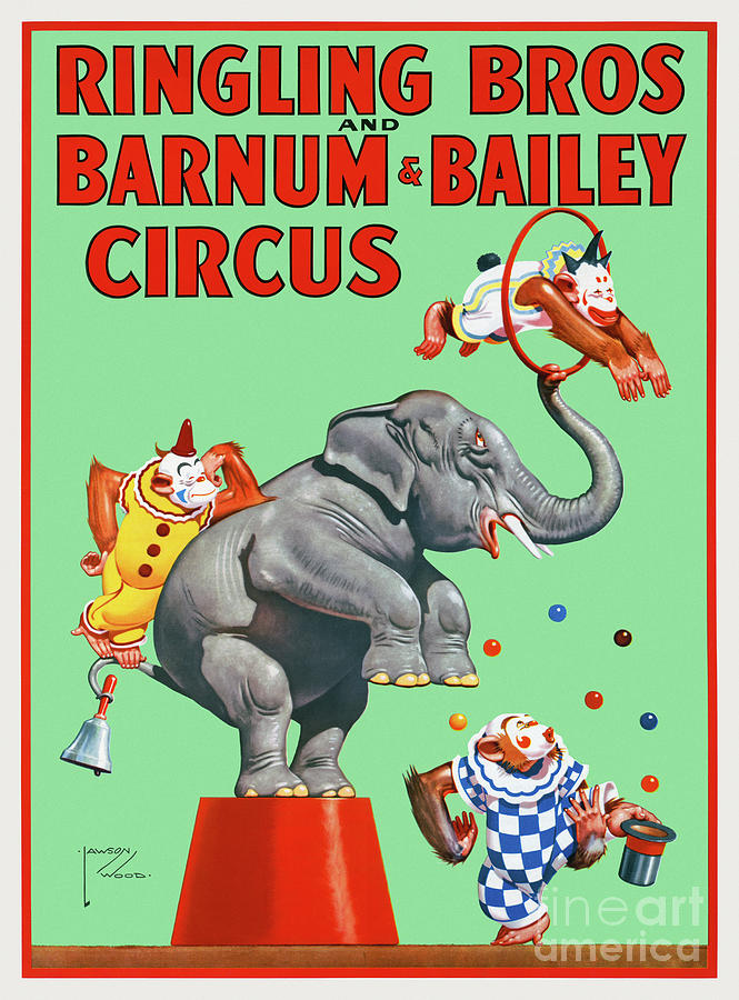 Ringling Bros. And Barnum And Bailey Circus Vintage Poster Drawing By ...