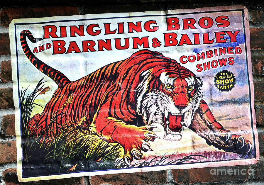 Ringling Brothers and Barnum Tiger sign Photograph by David Lee Thompson
