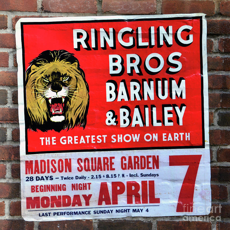 Ringling Brothers sign Madison Square Gardens  Photograph by David Lee Thompson