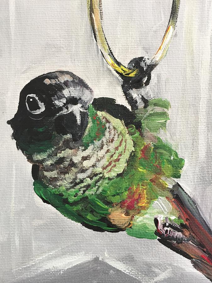 Ringmaster, Conure Painting by Danielle Rosaria