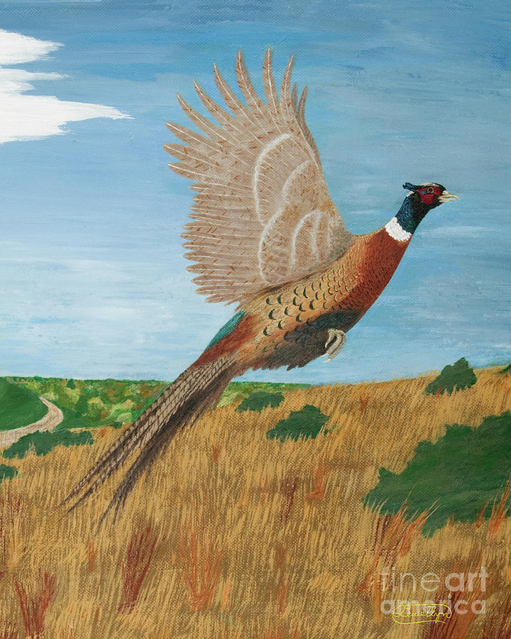 Ringneck Pheasant Painting by L J Oakes