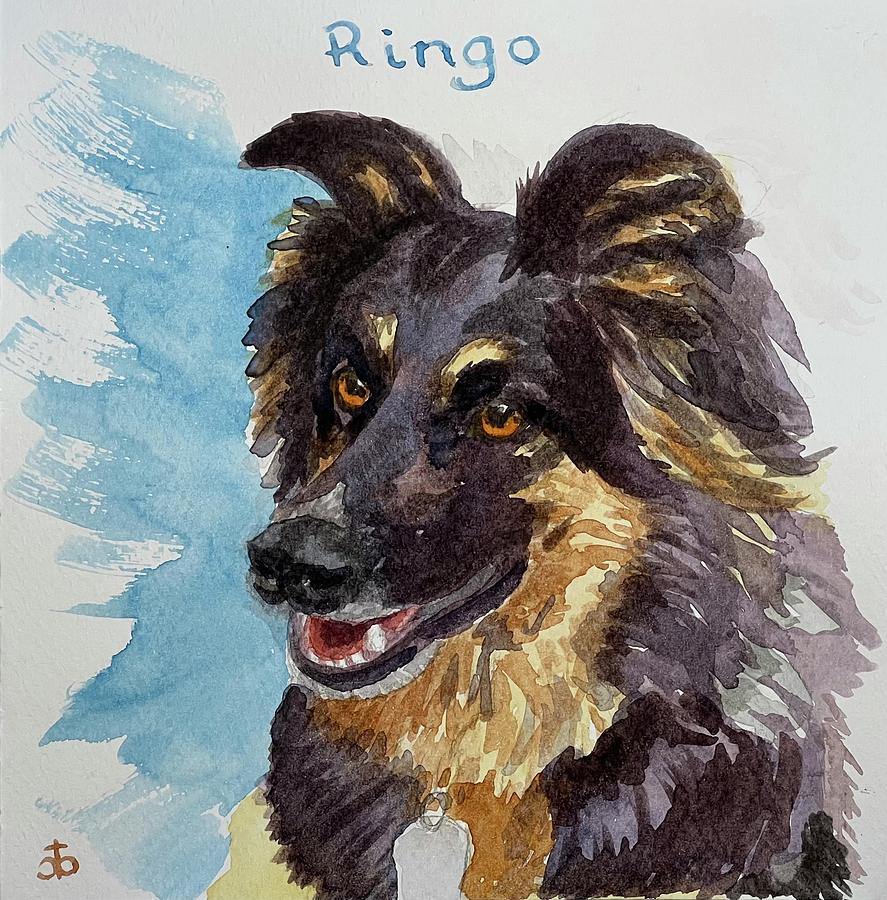 Ringo Painting by Cindy Bale Tanner