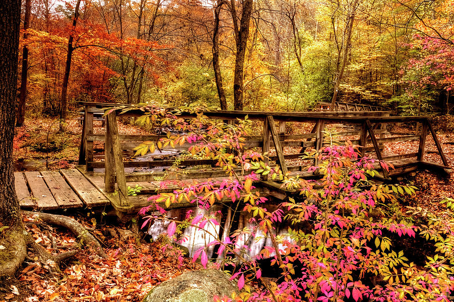 Ringwood New Jersey Bridge And Stream In Autumn Photograph