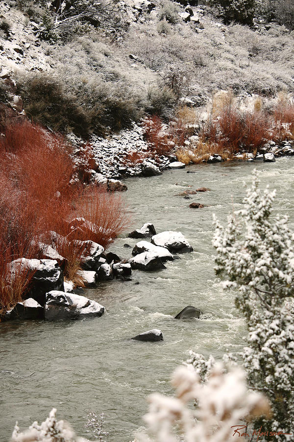 Rio Grande Holiday Photograph by Ron Monsour
