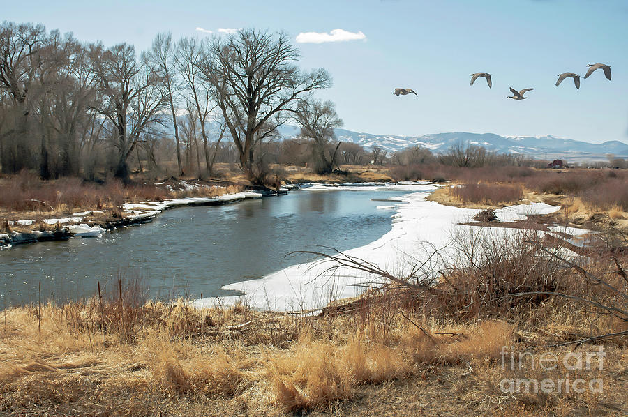 Nature Photograph - Rio Grande River - Colorado by John Bartelt