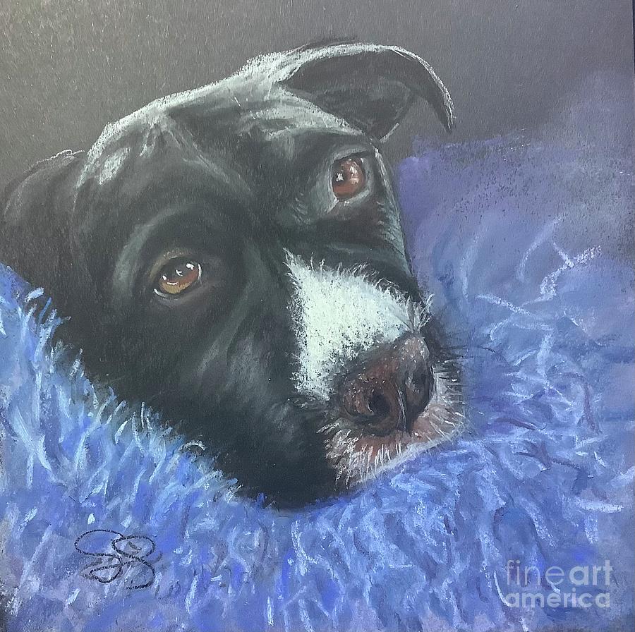 Dog Painting - Rio Noche by Susan Sarabasha