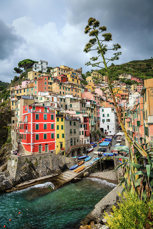 Riomaggiore in Cinque Terre Photograph by Alexey Stiop