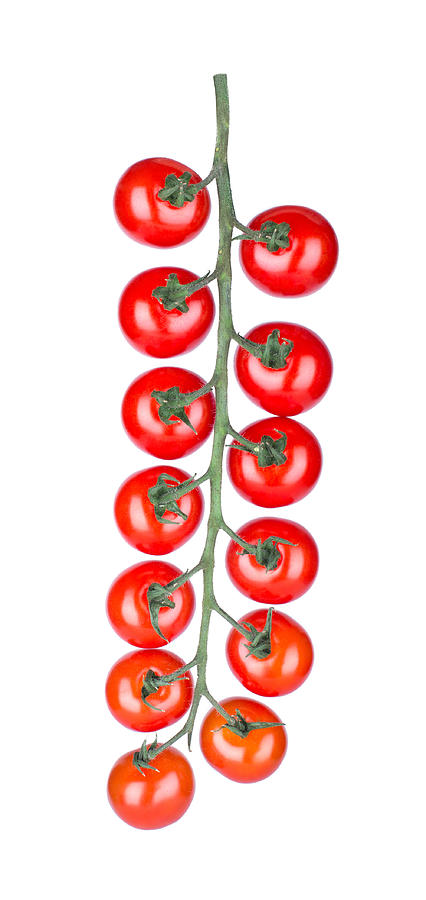 Ripe Fresh Cherry Tomatoes on Branch Isolated on White Background Photograph by Yevgen Romanenko