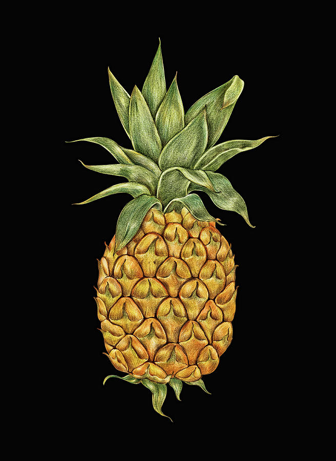 Ripe Pineapple On Black Digital Art by HH Photography of Florida