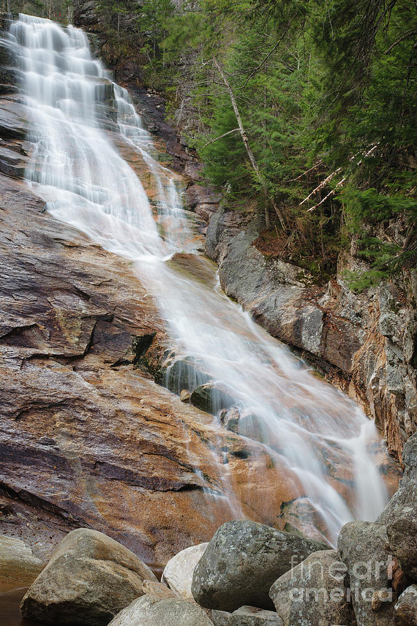 Ripley Falls - Crawford Notch, New Hampshire Photograph by Erin Paul Donovan