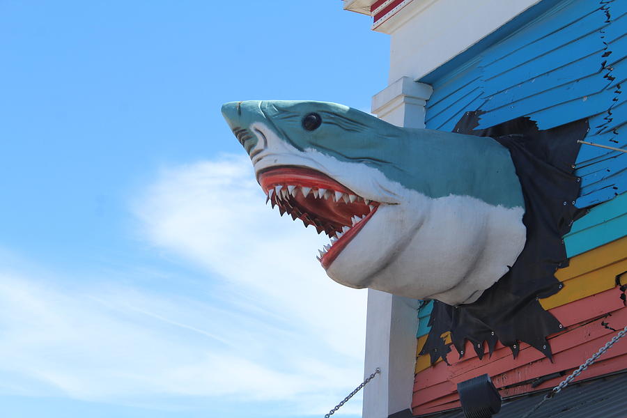 Ripleys Believe It or Not Jaws Photograph by Robert Banach