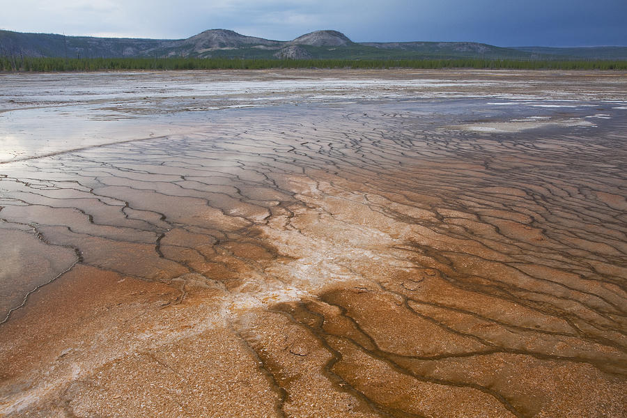 Ripple patterns at Grand Prismatic Spring, Wyoming, USA Photograph by David Henderson