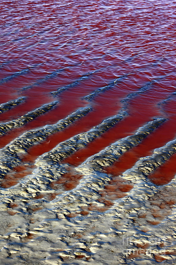 Ripple Patterns in Mud on Shore of Laguna Colorada Bolivia Photograph by James Brunker