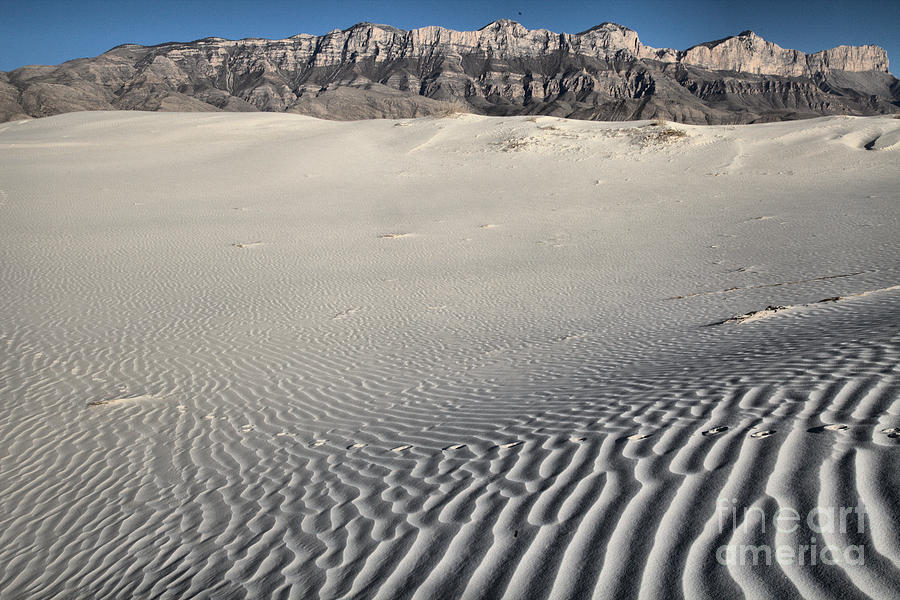 Ripples At The Guadalupe Mountain Sand Dunes Photograph by Adam Jewell