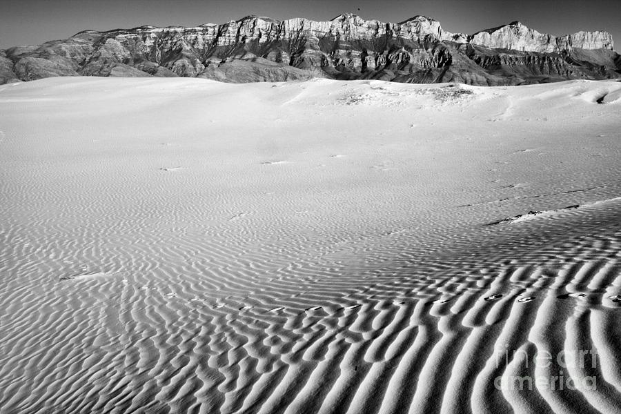 Ripples At The Guadalupe Mountain Sand Dunes Black And White Photograph by Adam Jewell