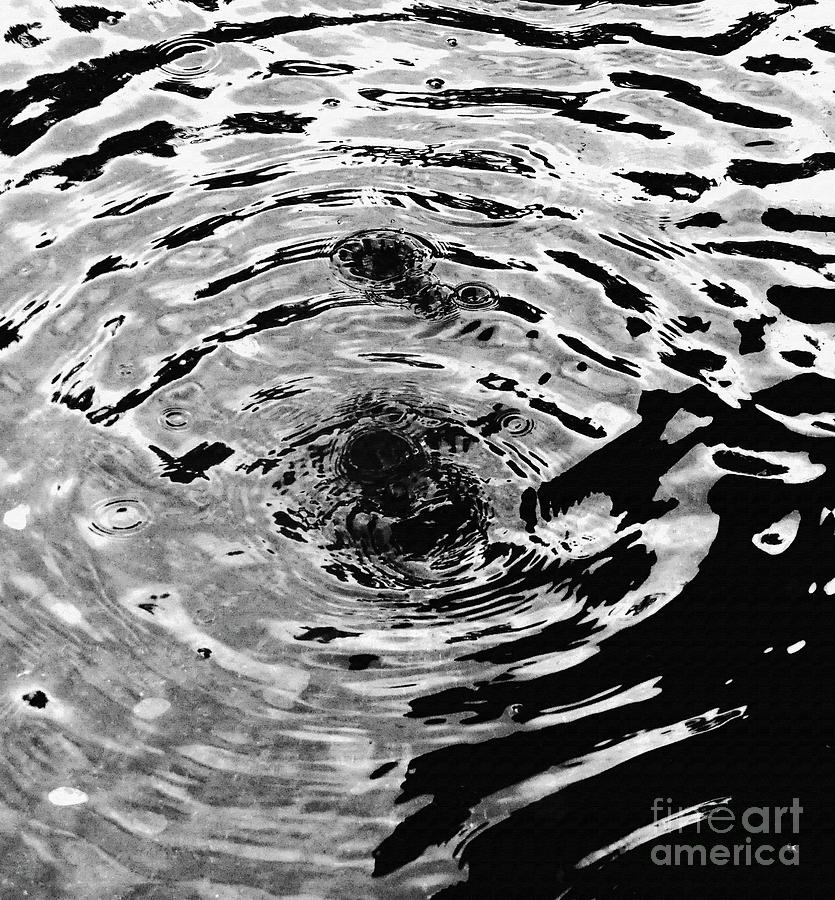 Ripples Black and White Photograph by Sharon Williams Eng