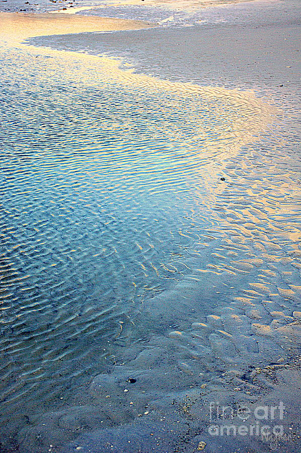 Ripples Photograph by Hilda Wagner