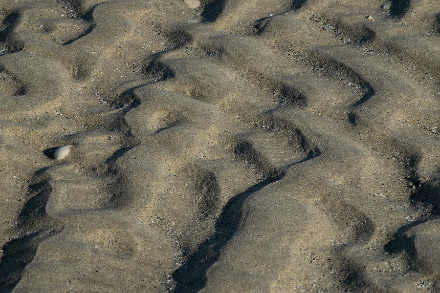 Ripples in Sand Photograph by Bonny Puckett