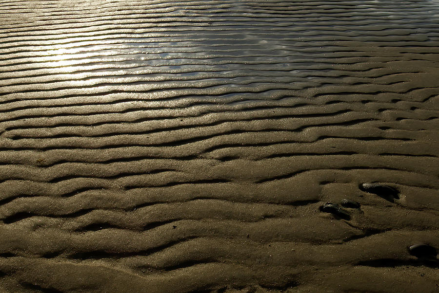 Ripples in the Sand Photograph by Flinn Hackett