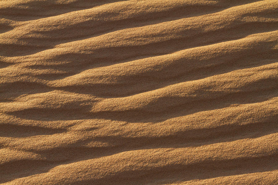 Ripples in the Sand Photograph by Lindley Johnson | Fine Art America