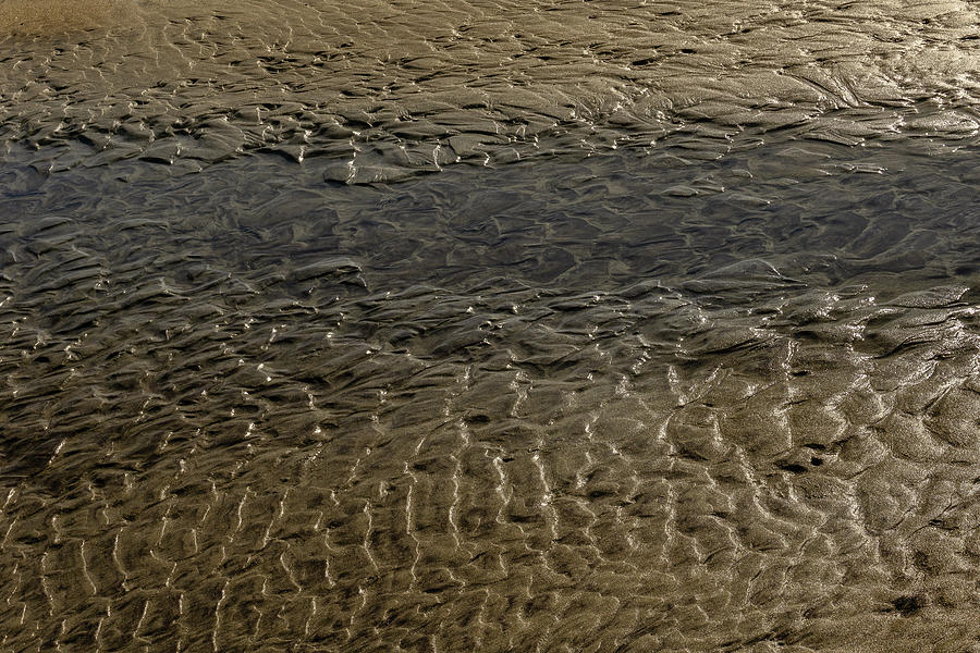 Ripples In The Sand Photograph by Roger Mullenhour