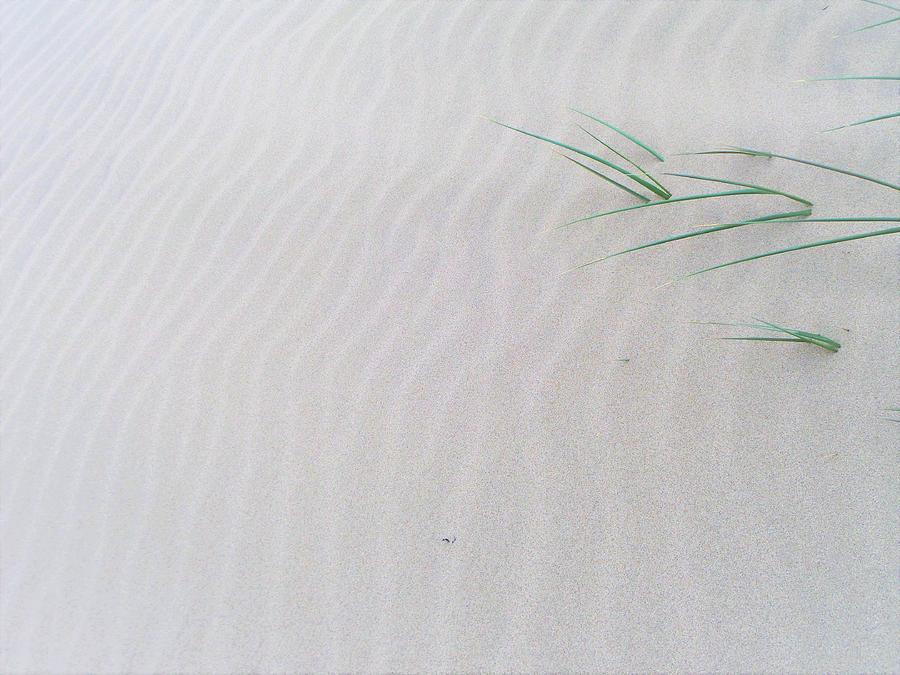 Ripples of sand Photograph by Jarek Filipowicz