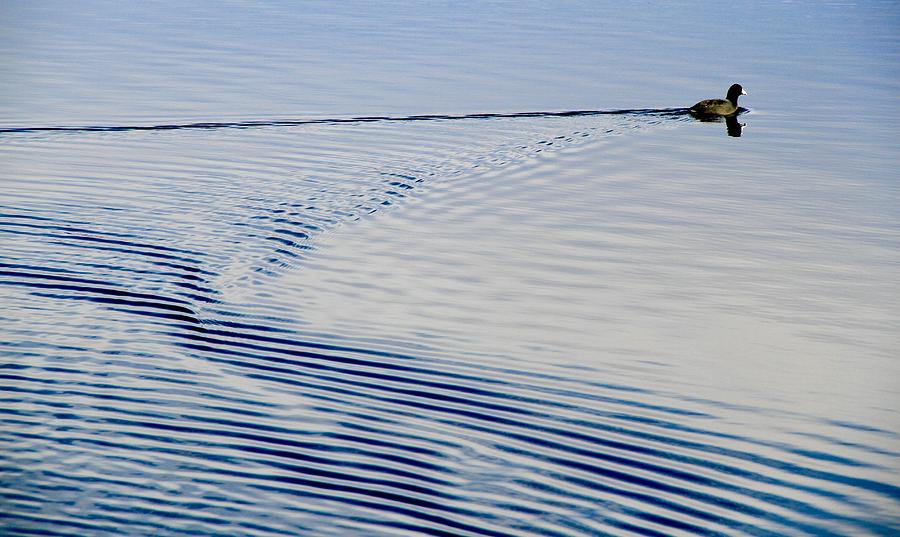 Ripples On Wahweap Bay Lake Powell Photograph by Ed Riche