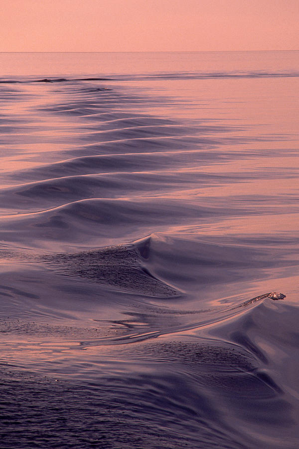 Ripples on water at sunset Photograph by Comstock
