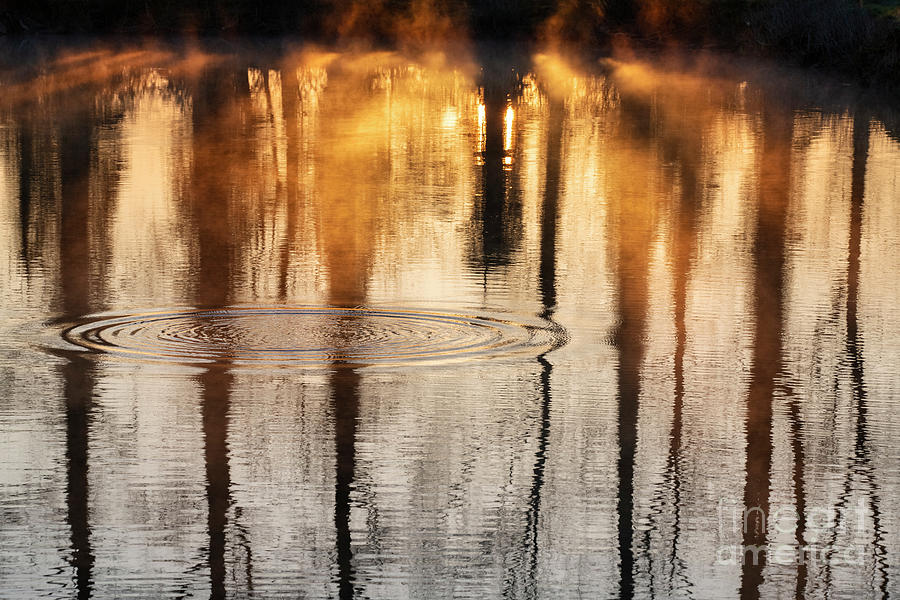 Ripples Rays of Light and Reflections  Photograph by Tim Gainey