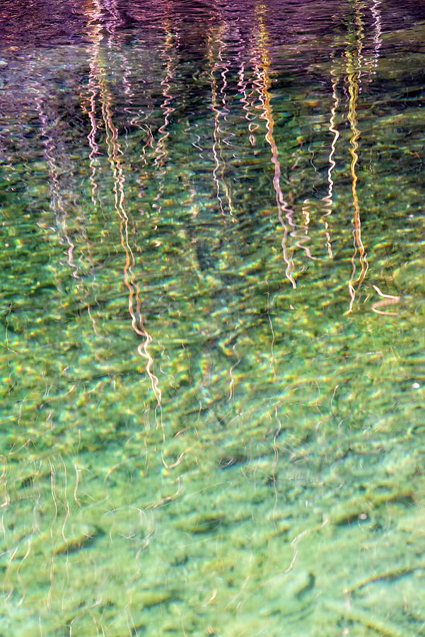 Rippling Reeds 1 Photograph by Jean Gill