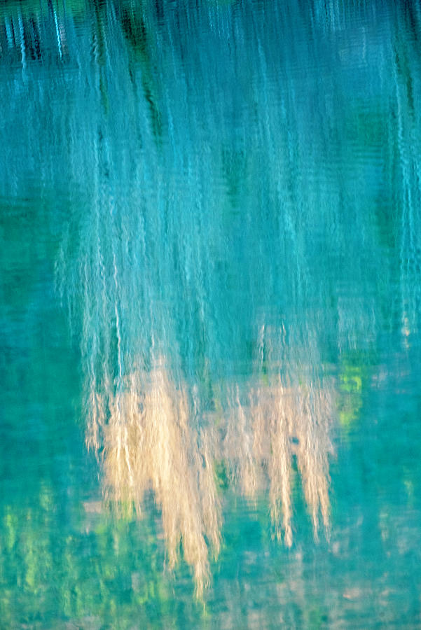 Rippling Reeds Photograph by Jean Gill