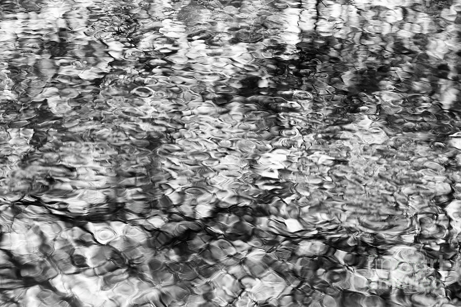 Rippling Stream Monochrome Photograph by Tim Gainey