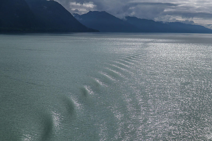 Rippling Through Alaska Photograph by Ed Williams