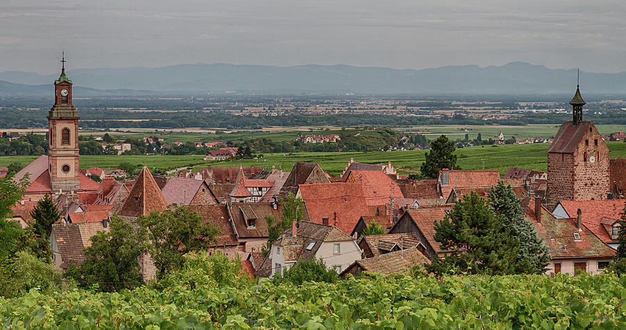 Riquewihr from the Vineyard Photograph by Chris Mangum - Fine Art America