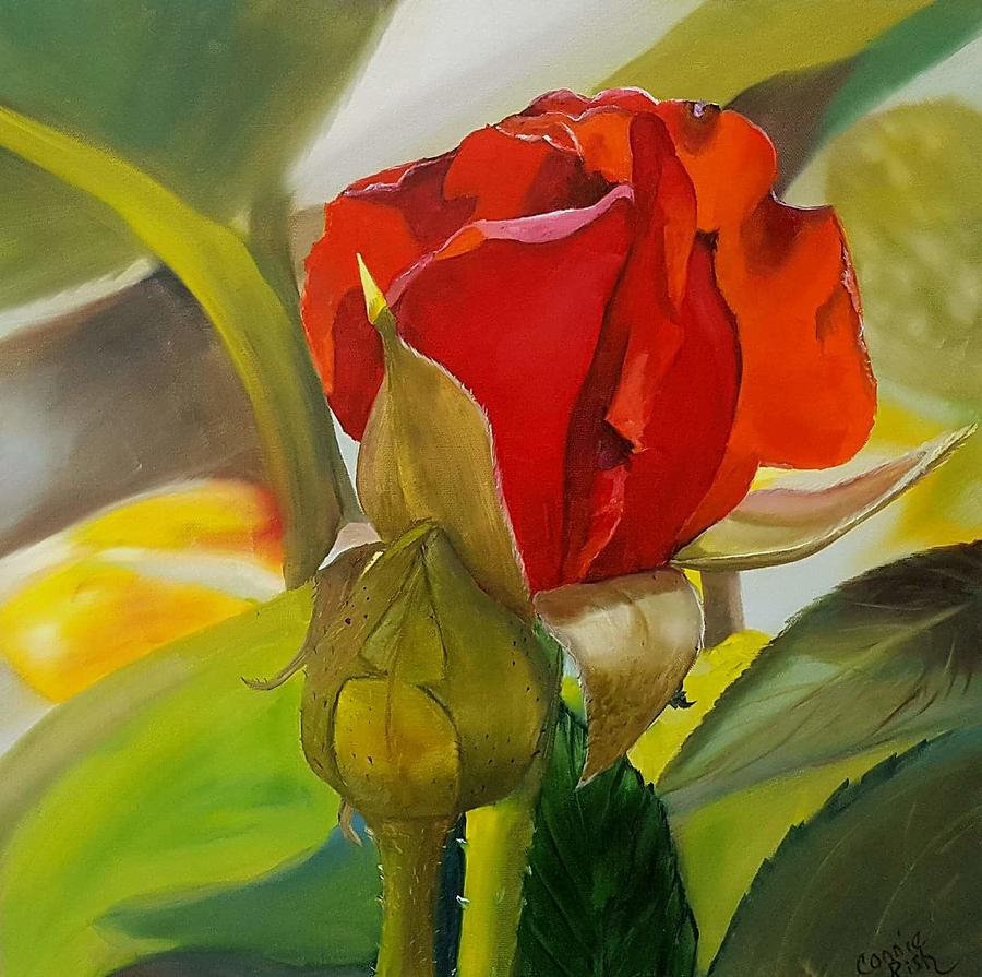 Rose Bud Painting by Connie Rish