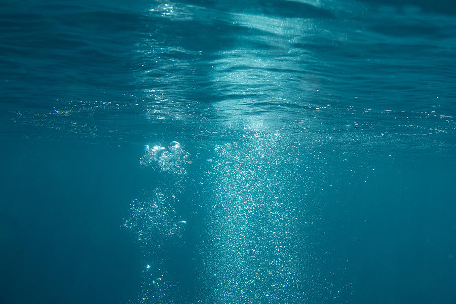 Rising bubbles under the ocean surface Photograph by Diane Keough