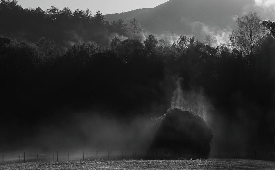 Rising Fog Cades Cove Photograph by Dan Sproul