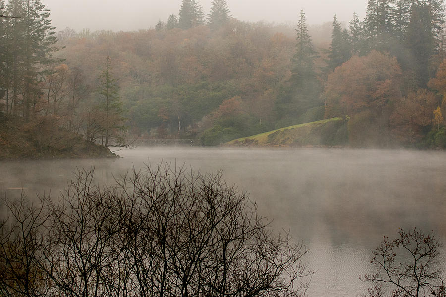 Rising fog Photograph by Daniel Letford