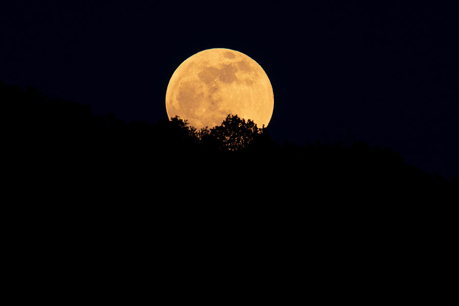 Rising Full Moon Photograph by Evan Foster