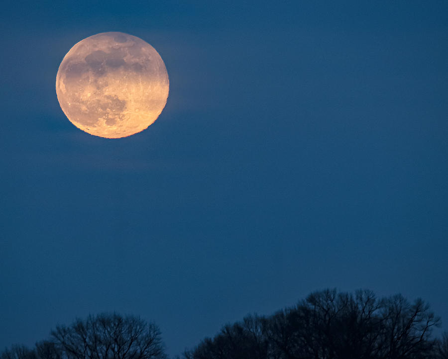 Rising Full Moon Photograph by Tom STRUTZ - Fine Art America